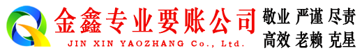 林甸清债公司